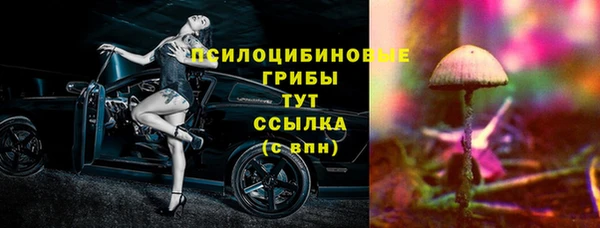крисы Богданович