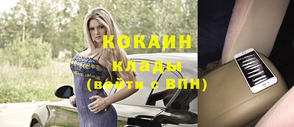 крисы Богданович