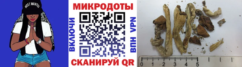 MEGA как войти  Ветлуга  Псилоцибиновые грибы MAGIC MUSHROOMS 